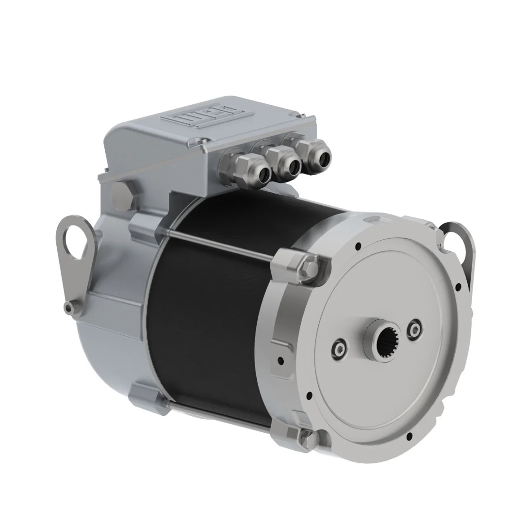 Motor elétrico automotivo da WEG