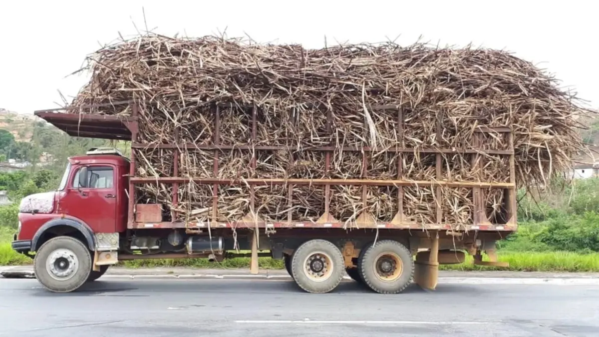 Foto de caminhão de cana antigo e sobrecarregado em Pernambuco