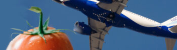 Montagem com uma mão segurando um tomate e um avião a jato