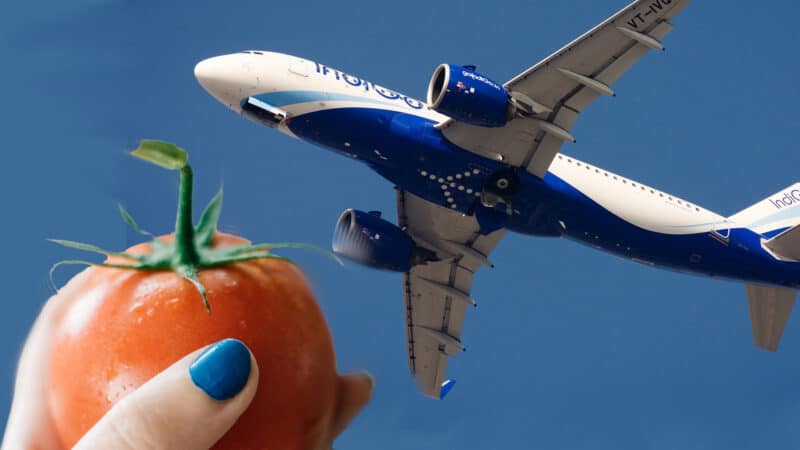 Montagem com uma mão segurando um tomate e um avião a jato