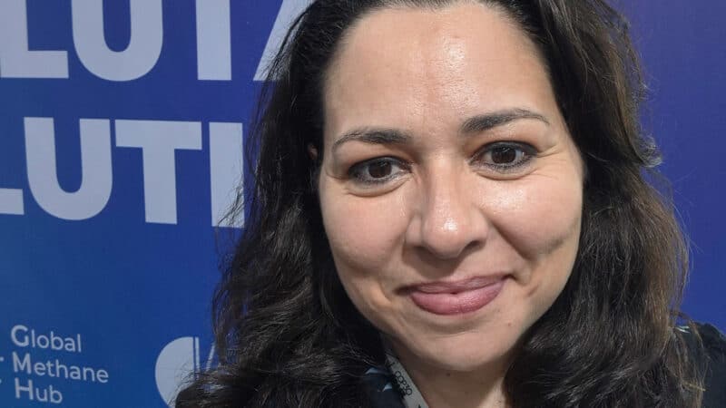 Patrícia Ferrini, cientista climática brasileira