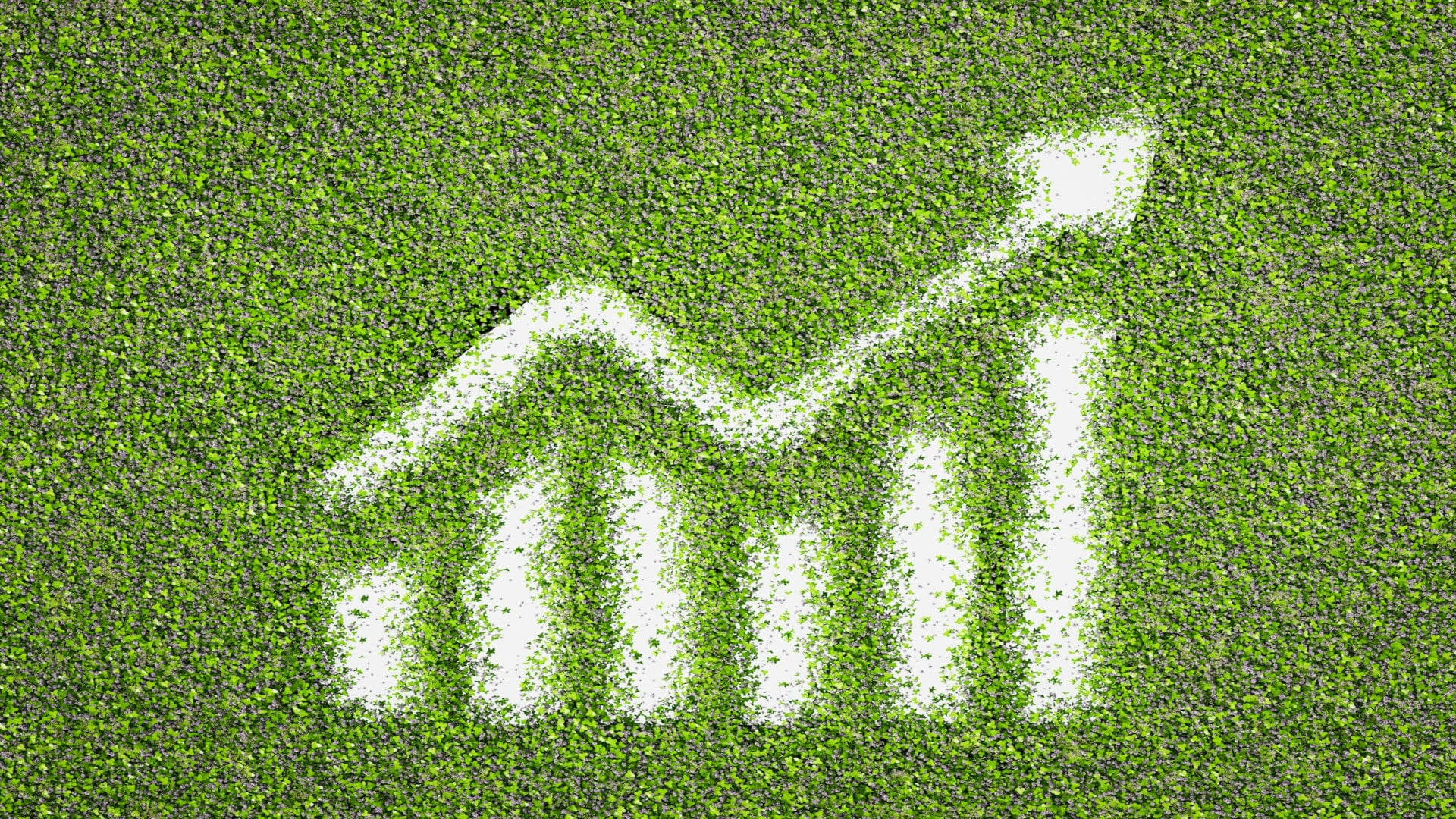 Gráfico apontando para cima