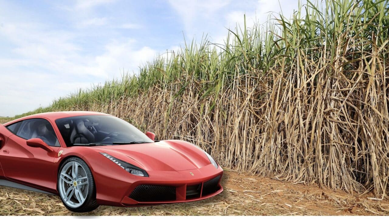 Ferrari no Canavial